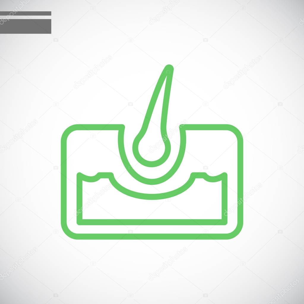 Vector illustration of hair anatomy icon