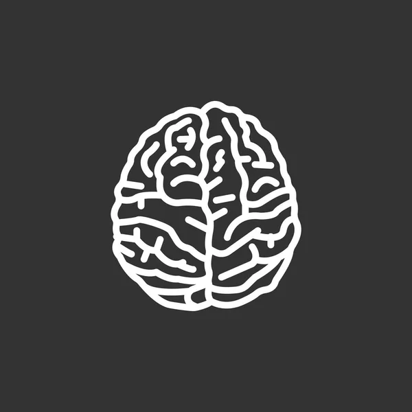Icono de anatomía cerebral — Vector de stock