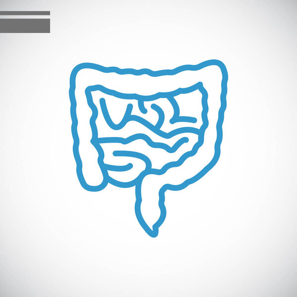 икона анатомии кишечника
