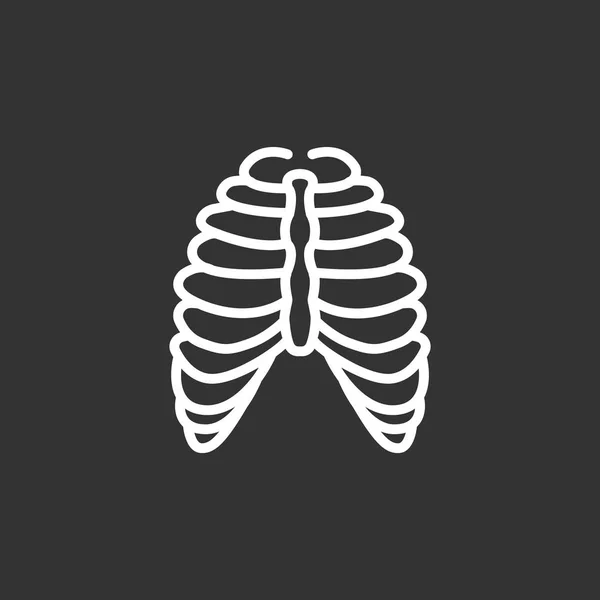 Anatomie icône web — Image vectorielle