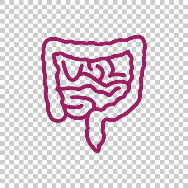 Anatomía intestinos icono — Vector de stock