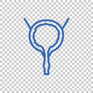 İdrar kesesi simgesi