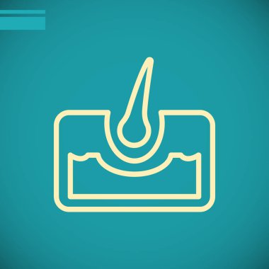 Saç ve Cilt simgesini