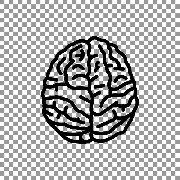 Anatomia cerebral Ícone —  Vetores de Stock