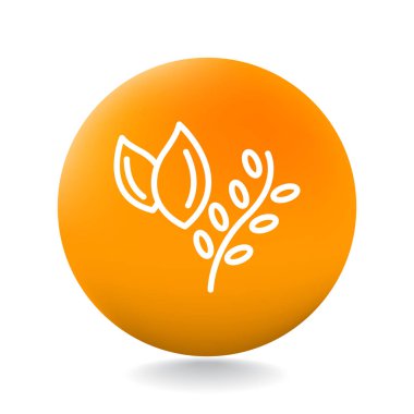 Tasarım şube simgesinin  