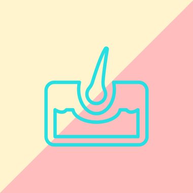 saç anatomisi simgesi 