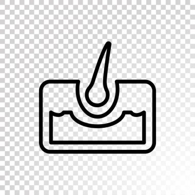 saç anatomisi simgesi 