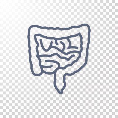 Anatomi bağırsak simgesi