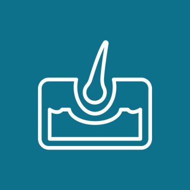 saç anatomisi simgesi 