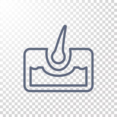 saç anatomisi simgesi 