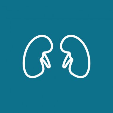 İnsan böbrekler simgesi