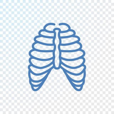 İnsan Toraks simgesi