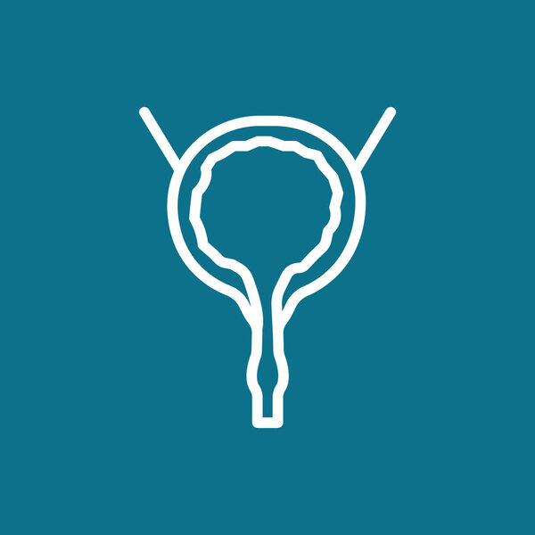 Urinary bladder organ icon  