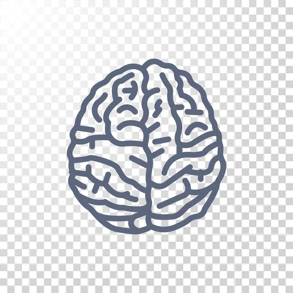 Icône du cerveau humain — Image vectorielle
