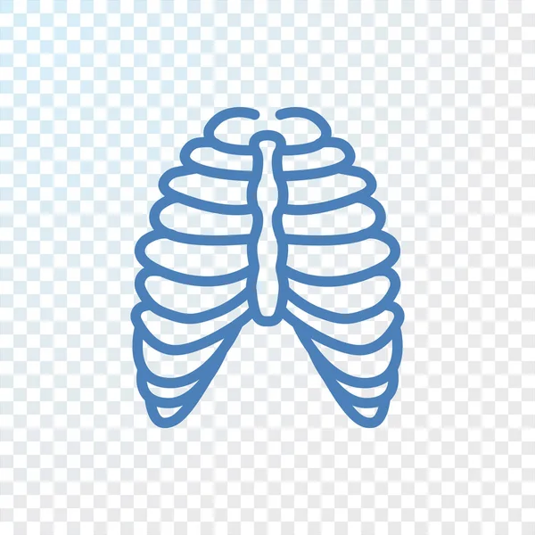 İnsan Toraks simgesi