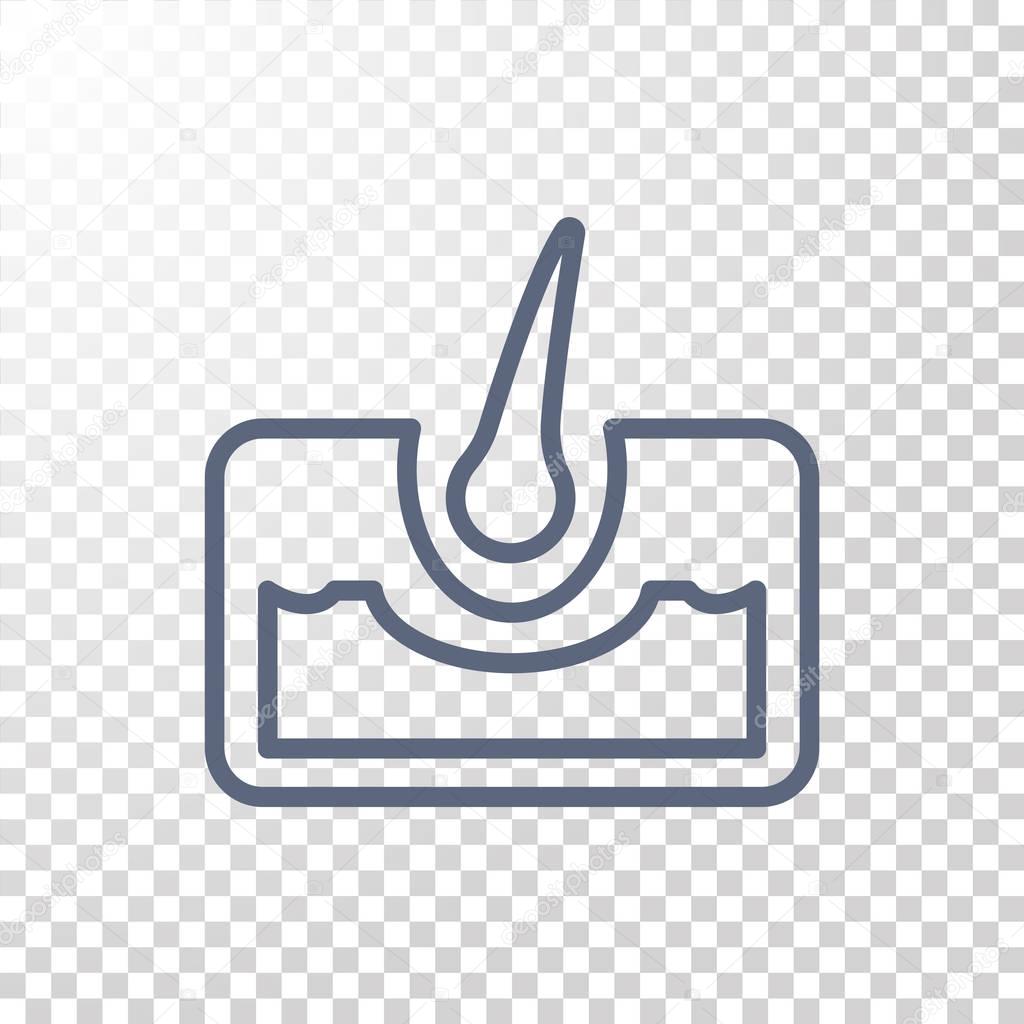 Vector illustration of hair anatomy icon