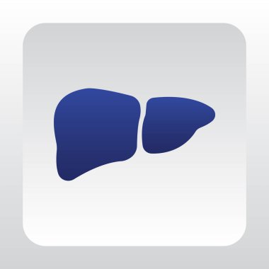 karaciğer web simgesi