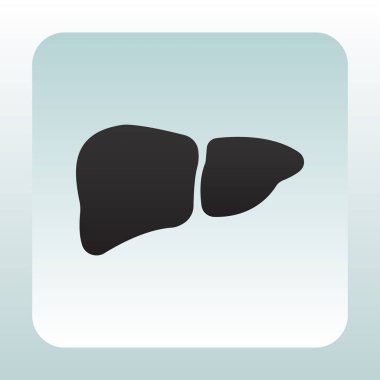 karaciğer web simgesi