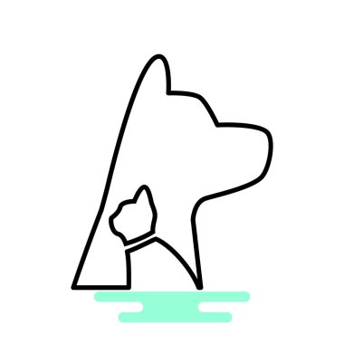 köpek ve kedi hayvan hastalıklarıyla ilgili