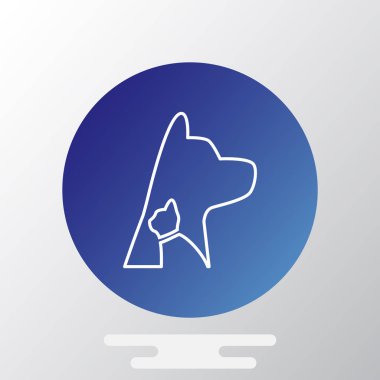 köpek ve kedi hayvan hastalıklarıyla ilgili