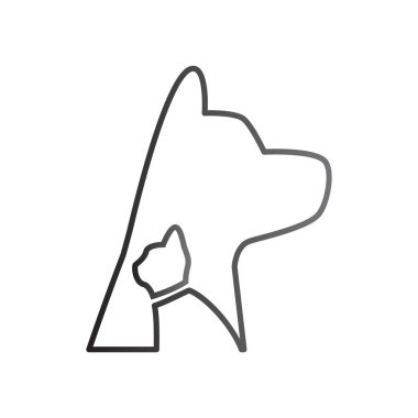 köpek ve kedi hayvan hastalıklarıyla ilgili