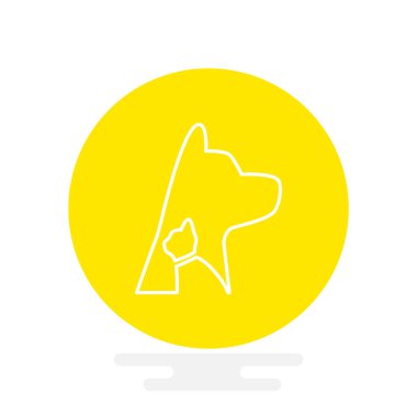 köpek ve kedi hayvan hastalıklarıyla ilgili