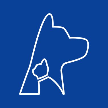 köpek ve kedi hayvan hastalıklarıyla ilgili