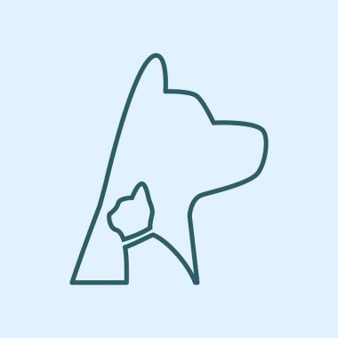 köpek ve kedi hayvan hastalıklarıyla ilgili