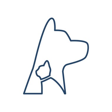 köpek ve kedi hayvan hastalıklarıyla ilgili