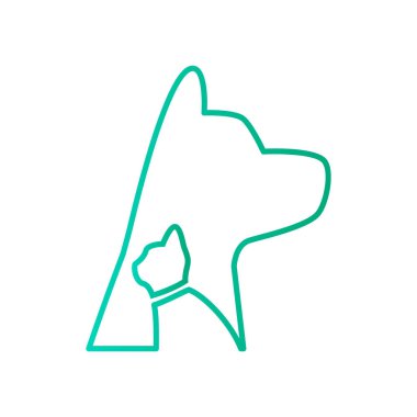 köpek ve kedi hayvan hastalıklarıyla ilgili