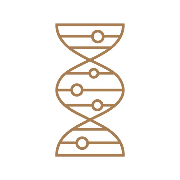 DNA分子アイコン — ストックベクタ