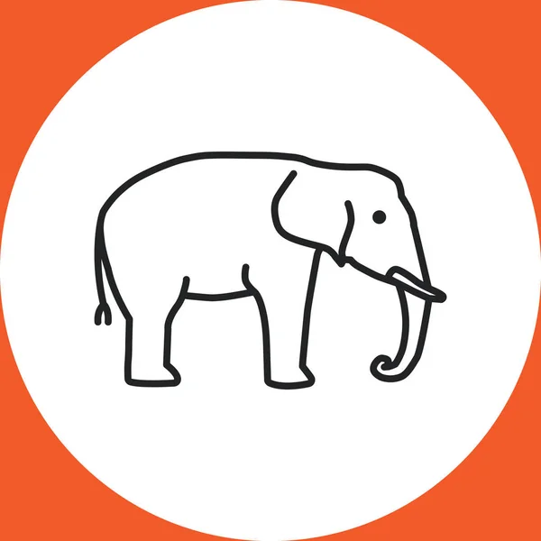 Olifant web pictogram — Stockvector