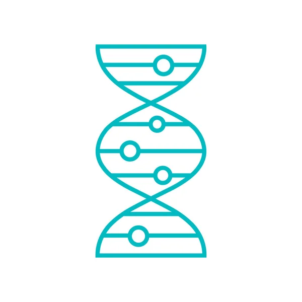 Ícone de molécula de dna —  Vetores de Stock