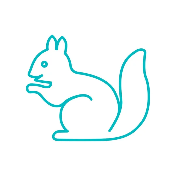 Εικονίδιο web σκίουρος — Διανυσματικό Αρχείο