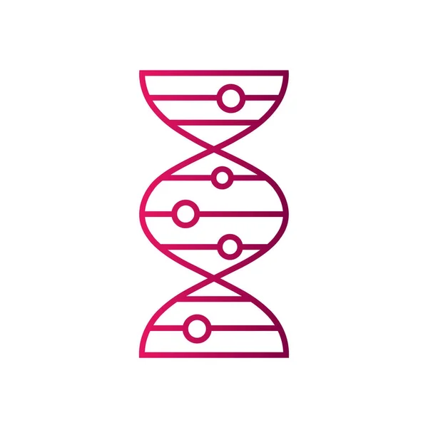 Ikona cząsteczki DNA — Wektor stockowy
