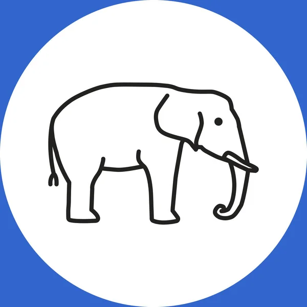 Olifant web pictogram — Stockvector