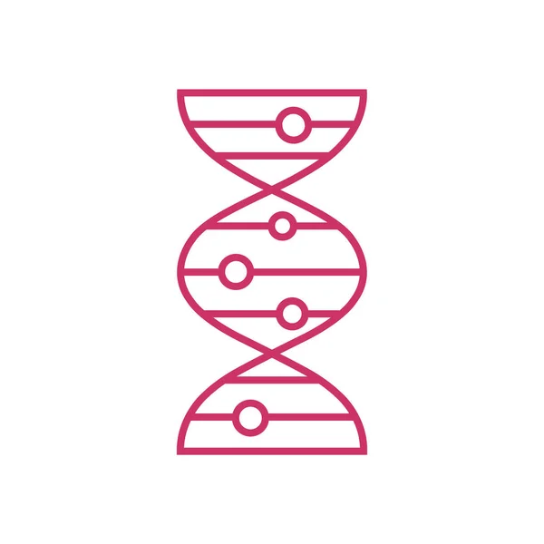 Ícone de molécula de dna —  Vetores de Stock