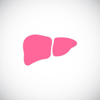 karaciğer web simgesi