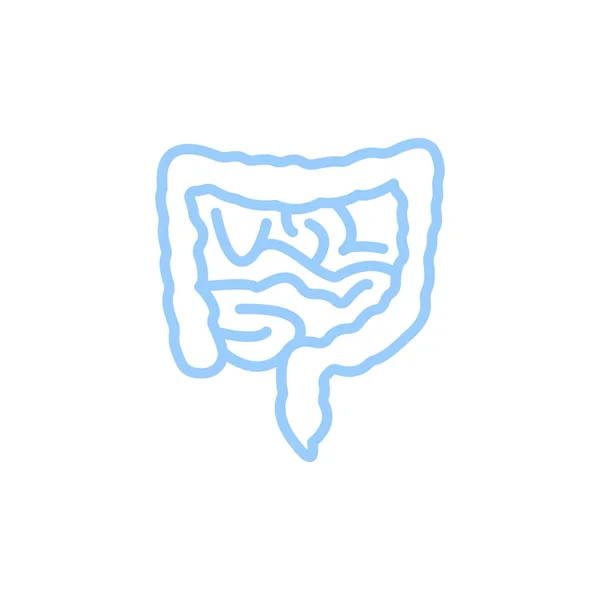 Intestino Delgado Humano Icono Plano Vector Ilustración — Vector de stock