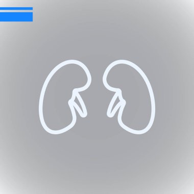 böbrekler düz simgesi, vektör, illüstrasyon