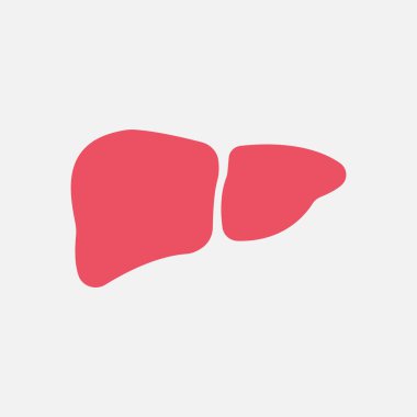 karaciğer web simgesi