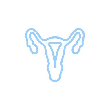 kadın üreme organları düz kutsal kişilerin resmi, vektör, illüstrasyon