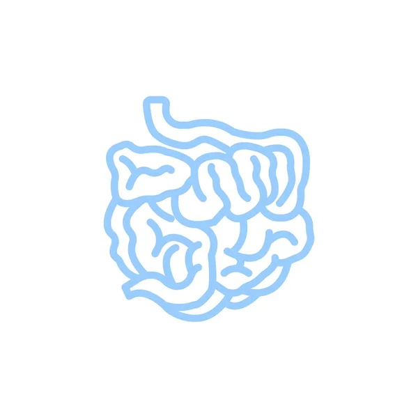 Intestinos Delgados Icono Plano Vector Ilustración — Archivo Imágenes Vectoriales