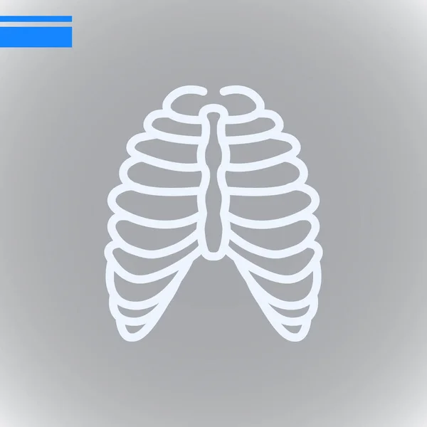 人体胸部フラット アイコン ベクトル イラスト — ストックベクタ