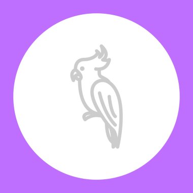 papağan web simge vektör çizim 