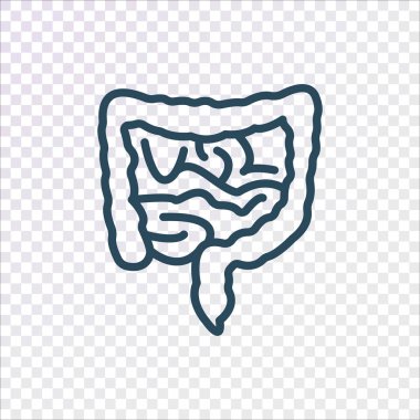 sindirim sistemi, ilaç, vektör çizim