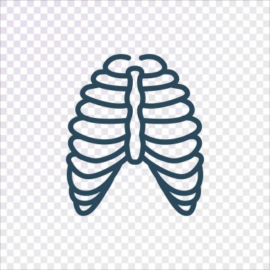 iskelet düz simgesi, vektör, illüstrasyon