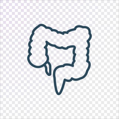 sindirim sistemi, ilaç, vektör çizim
