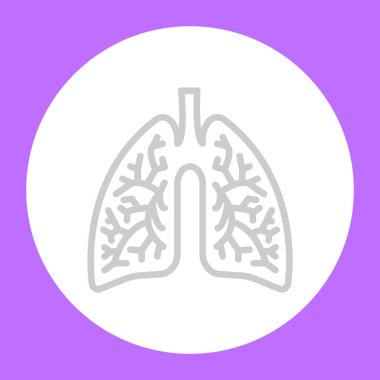Akciğerler anatomi düz simgesi, vektör, illüstrasyon