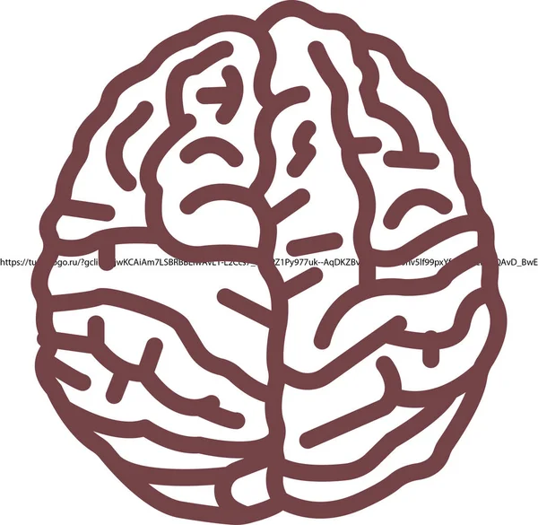 Cerveau Humain Icône Plate Vecteur Illustration — Image vectorielle